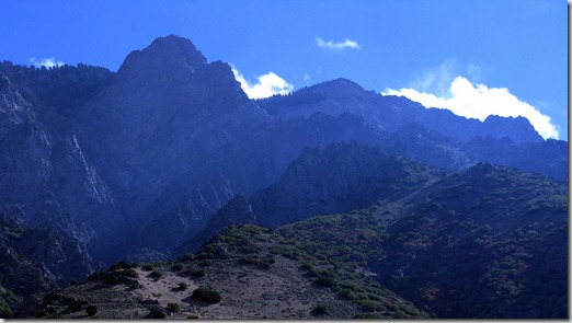 Willard
