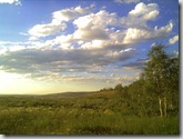 WP_000500