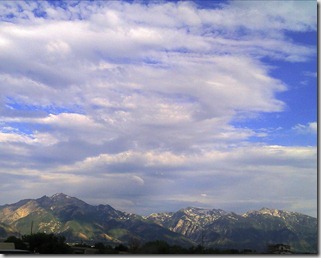 WP_000631